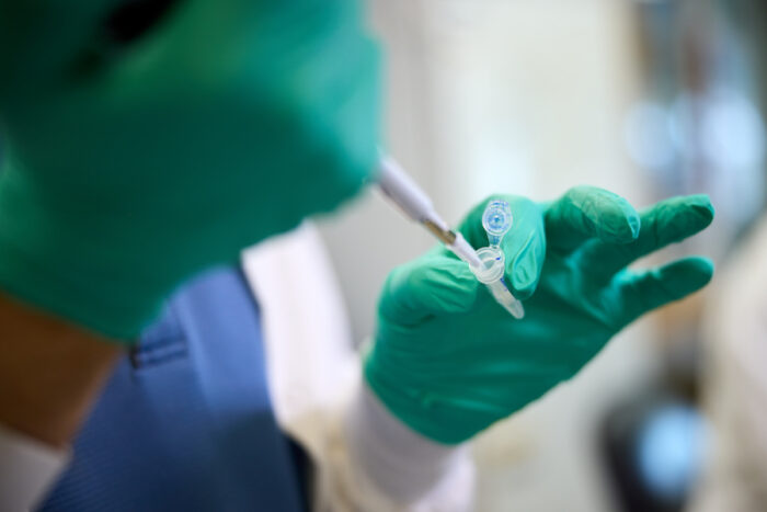 Scientist Tim Seebeck pipettes. Staff does research in the field of the gut microbiome in Jeffrey Gordon’s lab in the Couch Building on September 8, 2024